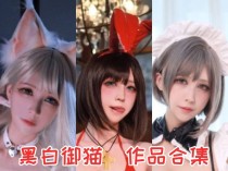 黑白御猫：二次元世界的魅力猫娘