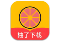 安卓手机下载器 柚子下载 v1.5.5 高级版