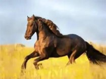 安卓YourTV 你的电视TV v2.1.0清爽版_智能电视看电视直播软件APP高清流畅