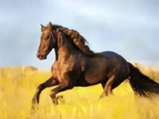 安卓YourTV 你的电视TV v2.1.0清爽版_智能电视看电视直播软件APP高清流畅