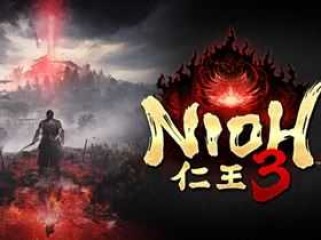 仁王3 v1.03 支持网络联机豪华中文版+预购特典+全DLC+全季票 -支持手柄|解压即撸