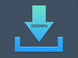Xdown v2.0.9.5 (支持油管下载) 免费无广告多线程下载工具