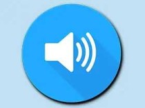 Volume Control Pro「音量控制器+」v6.6.1 直装付费专业版