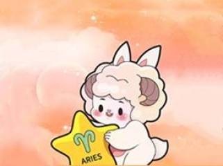 安卓微圈图(自定义聊天记录转账钱包)v1.0 解锁VIP会员版