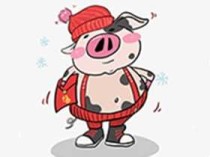 安卓花小猪影视(无广告全类型影视随心享)v2.2.3 去广告纯净版