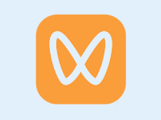 微信视频号下载工具(支持直播回放、直播流) v251130 中文绿色版