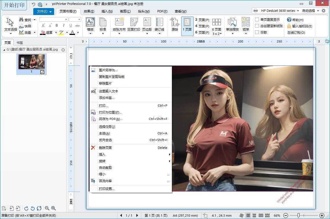 priPrinter Professional(虚拟打印机) v7.0.0.2620 中文直装版 第1张